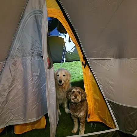 Tente de luxe Bridge Glamping - Solar Tent *